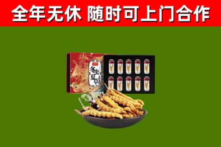 南京烟酒回收冬虫夏草礼盒.jpg