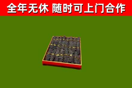 南京回收海参